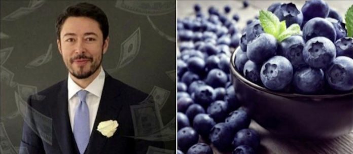 Zeni - boronica Zeni - boronica