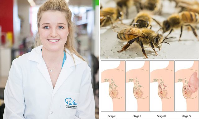 Helmi i bletëve Helmi i bletëve