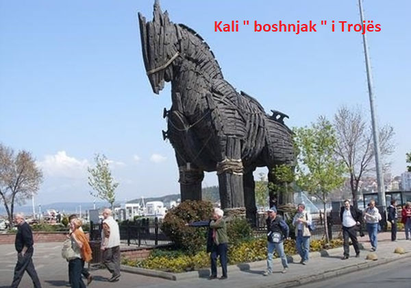 Kali boshnjak i Trojës Kali boshnjak i Trojës
